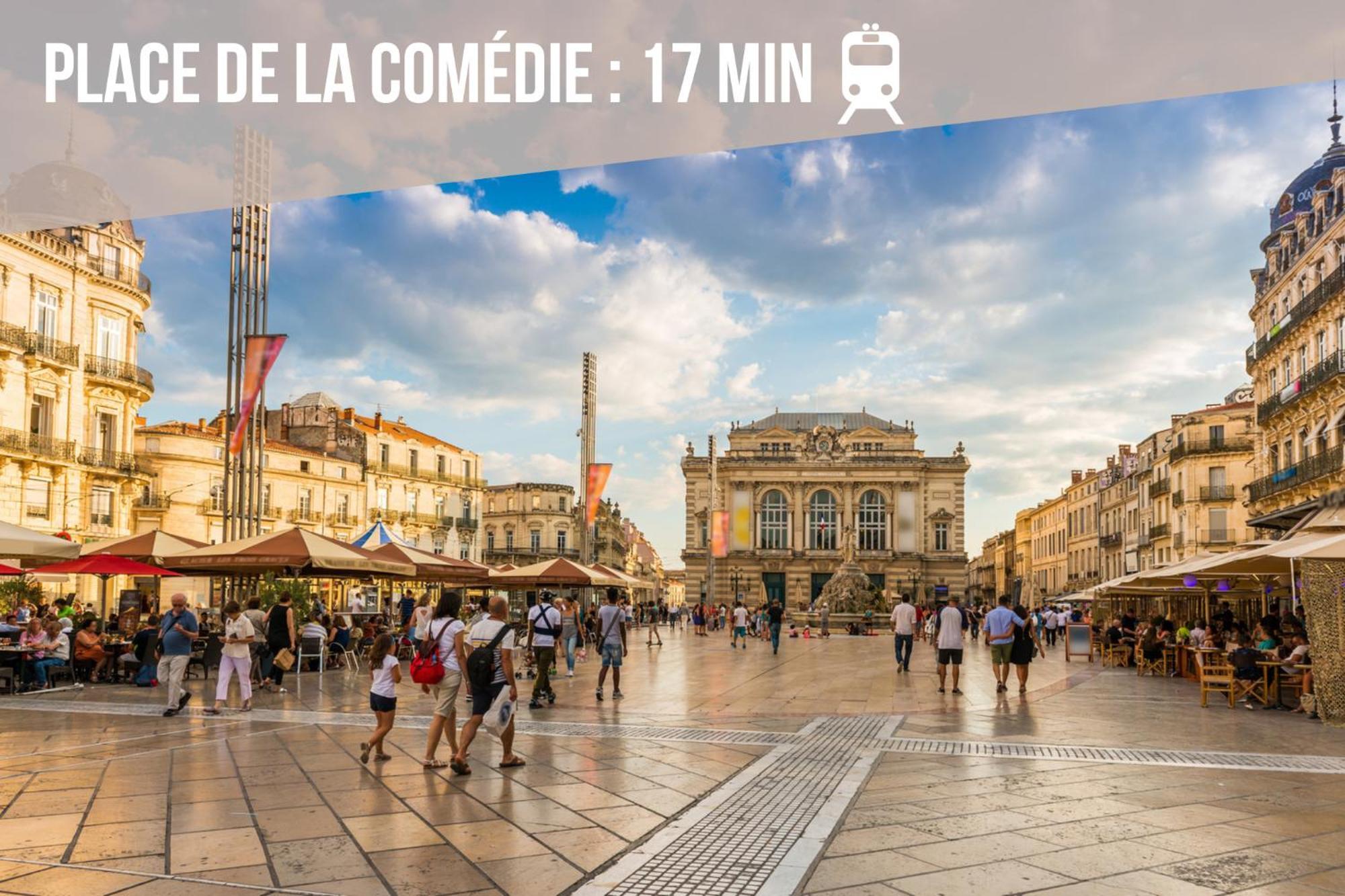 Le Chic Urbain - Hopitaux Facultes - Chateau D'o - Free Parking Montpellier